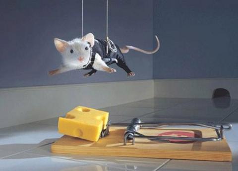 raton-queso.jpg